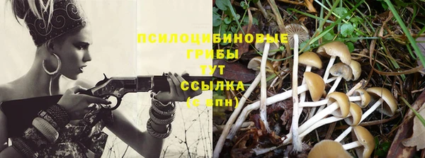 наркотики Богородицк