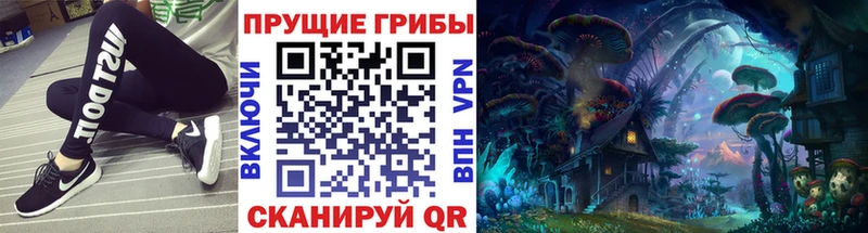 Галлюциногенные грибы ЛСД  где можно купить наркотик  Нерчинск 
